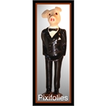 Pixi NOTRE SIECLE : MUSIQUE / SPECTACLE Monsieur Cochon
