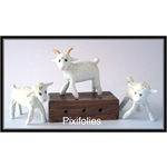 Pixi ST EXUPERY : Le Petit Prince Les deux moutons.le bélier et la caisse